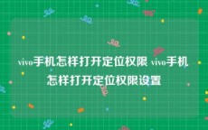 vivo手机怎样打开定位权限 vivo手机怎样打开定位权限设置