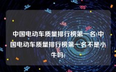 中国电动车质量排行榜第一名(中国电动车质量排行榜第一名不是小牛吗)