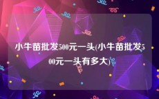 小牛苗批发500元一头(小牛苗批发500元一头有多大)