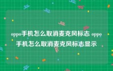 oppo手机怎么取消麦克风标志 oppo手机怎么取消麦克风标志显示