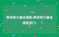 西瓜榨汁最佳搭配(西瓜榨汁最佳搭配窍门)