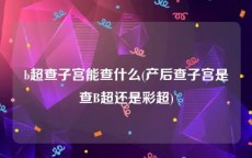 b超查子宫能查什么(产后查子宫是查B超还是彩超)