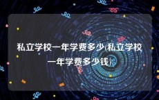 私立学校一年学费多少(私立学校一年学费多少钱)