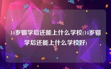 14岁辍学后还能上什么学校(14岁辍学后还能上什么学校好)