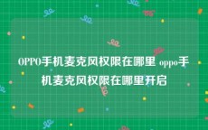 OPPO手机麦克风权限在哪里 oppo手机麦克风权限在哪里开启