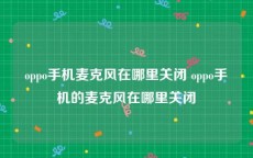 oppo手机麦克风在哪里关闭 oppo手机的麦克风在哪里关闭