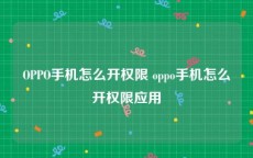 OPPO手机怎么开权限 oppo手机怎么开权限应用
