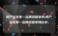 跨产品线单一品牌战略举例(跨产品线单一品牌战略举例分析)
