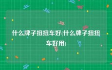 什么牌子扭扭车好(什么牌子扭扭车好用)