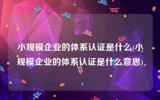 小规模企业的体系认证是什么(小规模企业的体系认证是什么意思)