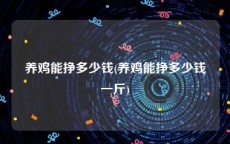 养鸡能挣多少钱(养鸡能挣多少钱一斤)