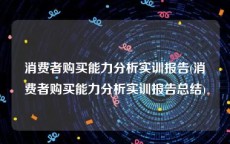 消费者购买能力分析实训报告(消费者购买能力分析实训报告总结)