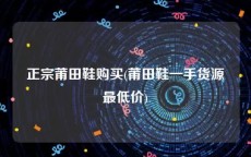 正宗莆田鞋购买(莆田鞋一手货源最低价)