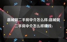 县城做二手房中介怎么样(县城做二手房中介怎么样赚钱)