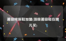 莆田纯原鞋加盟(顶级莆田鞋在哪儿买)