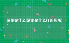 清吧是什么(清吧是什么样的场所)