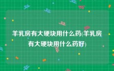 羊乳房有大硬块用什么药(羊乳房有大硬块用什么药好)