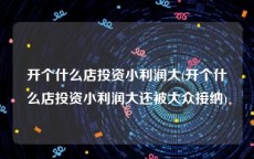 开个什么店投资小利润大(开个什么店投资小利润大还被大众接纳)