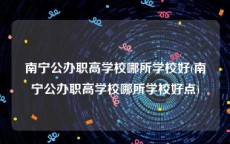 南宁公办职高学校哪所学校好(南宁公办职高学校哪所学校好点)