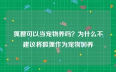 狐狸可以当宠物养吗？为什么不建议将狐狸作为宠物饲养