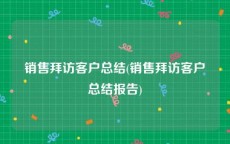 销售拜访客户总结(销售拜访客户总结报告)
