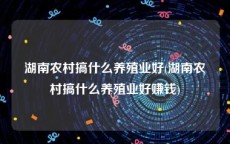 湖南农村搞什么养殖业好(湖南农村搞什么养殖业好赚钱)