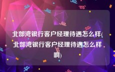 北部湾银行客户经理待遇怎么样(北部湾银行客户经理待遇怎么样啊)