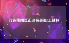 万达集团真正老板是谁(王健林)
