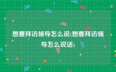 想要拜访领导怎么说(想要拜访领导怎么说话)