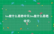 bin是什么意思中文(bin是什么意思中文)