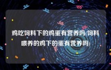 鸡吃饲料下的鸡蛋有营养吗(饲料喂养的鸡下的蛋有营养吗)