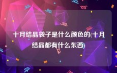 十月结晶袋子是什么颜色的(十月结晶都有什么东西)