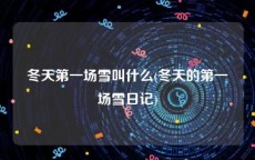 冬天第一场雪叫什么(冬天的第一场雪日记)