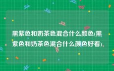 黑紫色和奶茶色混合什么颜色(黑紫色和奶茶色混合什么颜色好看)
