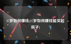 17岁如何赚钱(17岁如何赚钱能买起房子)