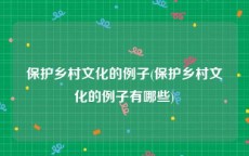 保护乡村文化的例子(保护乡村文化的例子有哪些)