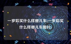 一岁后买什么样婴儿车(一岁后买什么样婴儿车图片)