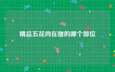 精品五花肉在猪的哪个部位