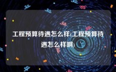 工程预算待遇怎么样(工程预算待遇怎么样啊)