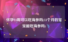 怀孕13周可以吃海参吗(13个月的宝宝能吃海参吗)