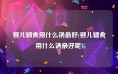 婴儿辅食用什么锅最好(婴儿辅食用什么锅最好呢)