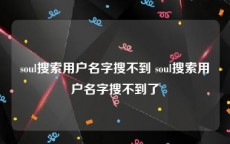 soul搜索用户名字搜不到 soul搜索用户名字搜不到了