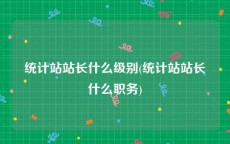统计站站长什么级别(统计站站长什么职务)