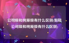 公司级和纯原级有什么区别(假鞋公司级和纯原级有什么区别)