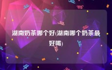 湖南奶茶哪个好(湖南哪个奶茶最好喝)
