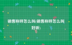 销售称呼怎么叫(销售称呼怎么叫好听)