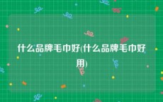 什么品牌毛巾好(什么品牌毛巾好用)