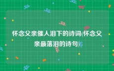 怀念父亲催人泪下的诗词(怀念父亲最落泪的诗句)