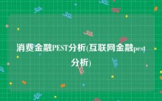消费金融PEST分析(互联网金融pest分析)