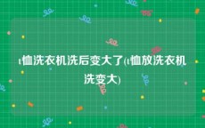 t恤洗衣机洗后变大了(t恤放洗衣机洗变大)